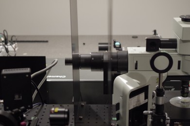 Hamamatsu光子学成功地创建了一项技术，该技术升级了两光子激发荧光显微镜的空间分辨率