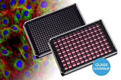 玻璃底μ板使高通量和超分辨率显微镜